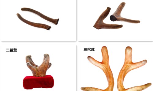 丁苯酞软胶囊多少钱一瓶24粒-丁苯酞软胶囊治疗什么病、丁苯酞软胶囊治疗什么病 -丁苯肽软胶囊价格网