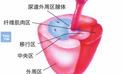 丁苯酞软胶囊的作用-丁苯酞软胶囊治疗什么病、丁苯酞软胶囊治疗什么病 -丁苯肽软胶囊价格网
